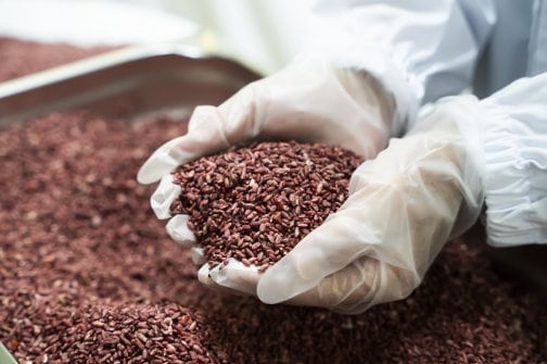 小林製薬の紅麹原料は一切使用しておりません