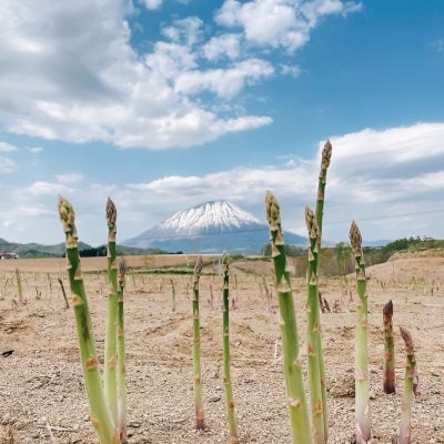 6/10まで高ポイント還元中！