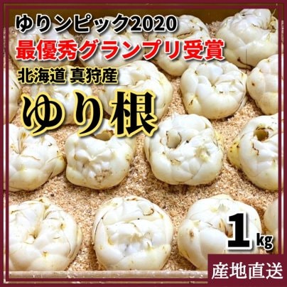 「それはまるでトリンドルな1日でした」（UHB)に出演します！