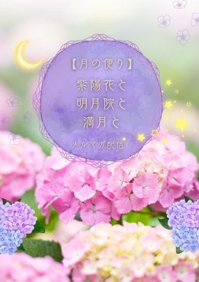 新月と満月に届くメルマガ配信🌙