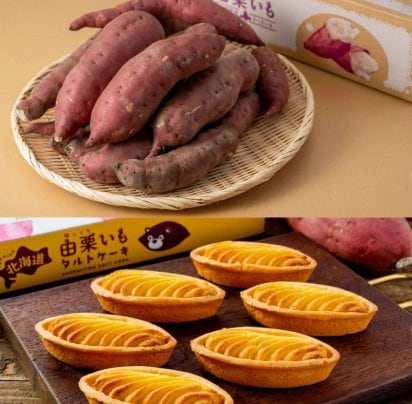 2023年2月15日まで　メルマガ登録でプレゼント♪