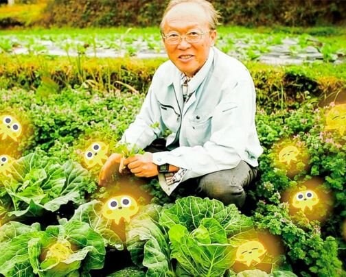 柴咲コウが菌ちゃんふぁーむにやってきた！