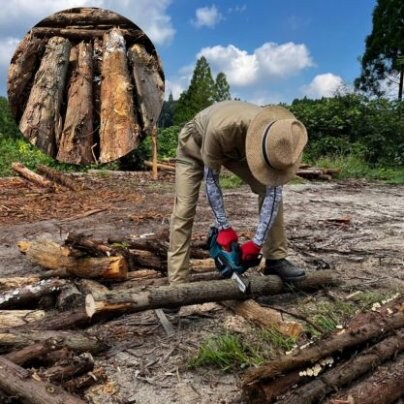 土づくりに使う丸太、とってきました！