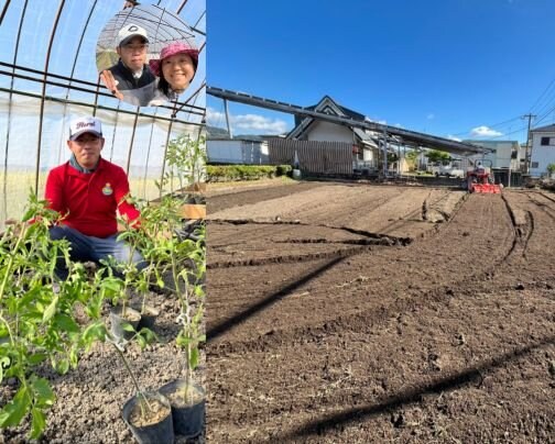 想いと力の交換