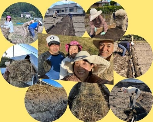 土づくりワークショップ用菌ちゃんの餌集め&モデル畝づくり！