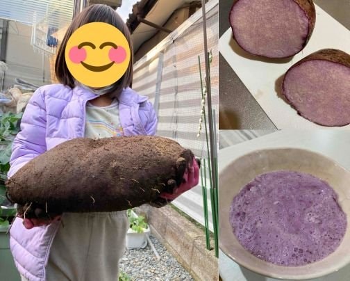 つながる❗️ひろがる❗️❗️菌ちゃんの輪（その１）