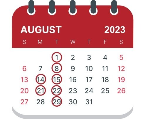 ８月のスケジュール（赤丸が定休日）