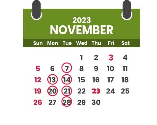 11月のスケジュール（赤丸が定休日）