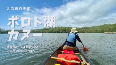 新着記事のお知らせ