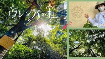 新着記事のお知らせ