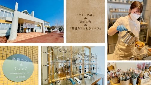 新着記事のお知らせ