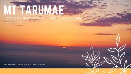 新着記事のお知らせ