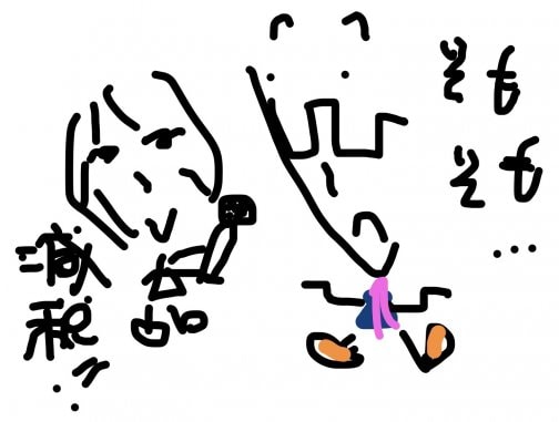 ホントは何が大事なの？