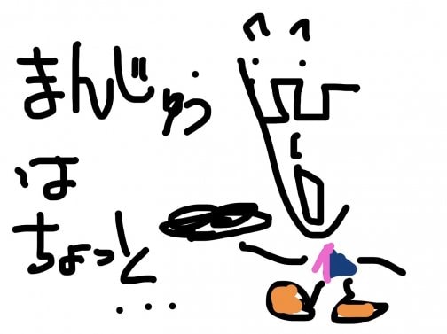 選挙権