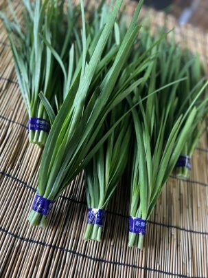 ✨今の季節にぴったり！にらレシピのご紹介🍳🍴