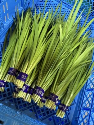 今が旬です！！！