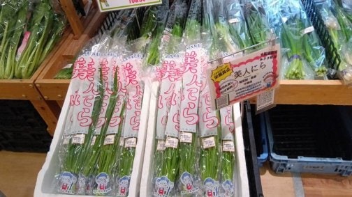 美人にら✨出荷先情報✨