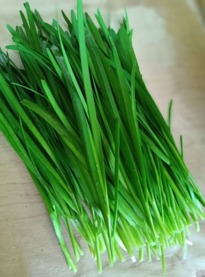 🥬 定番！ニラを使ったレシピ紹介🍳