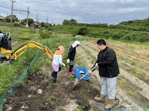 🌱✨子ども達とわくわく！じゃがいもほり体験✨🥔