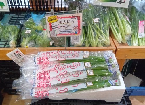 美人にら✨よってって出荷先情報🚚=3