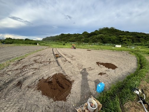 畑作り〜収穫まで③🌾