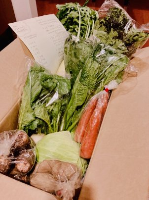 食べると元気になる無農薬野菜の到着！