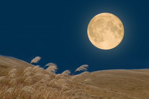 更年期世代の疲れと自律神経乱れ対策｜お月見で心身を整える秋習慣