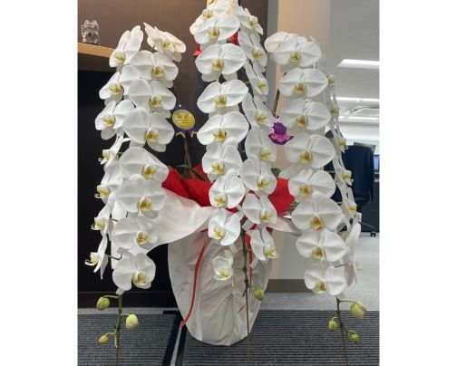 【創立20周年のご報告】