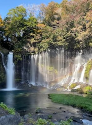 エネルギーの高い波動を送ります✨