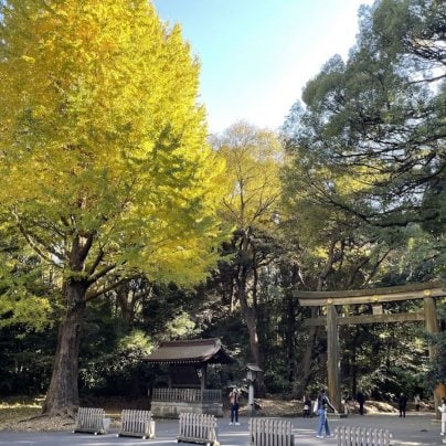 明治神宮リトリート無事終了！