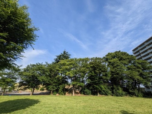 マンションコミュニティと隣の自治会との繋がり