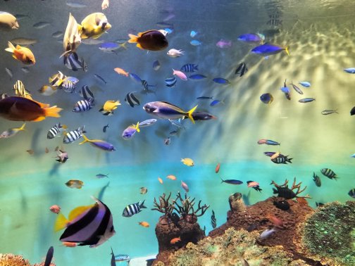 新学期スタート