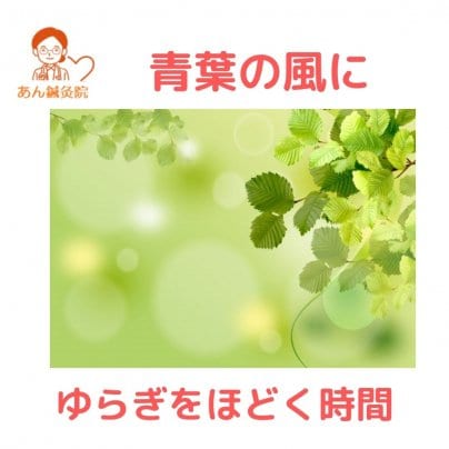 🌿青葉の風に ゆらぎをほどく時間🌿