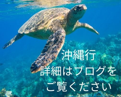 沖縄に行ってきます