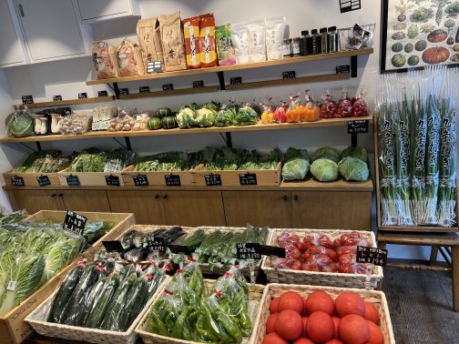 ベジボックス販売開始します。