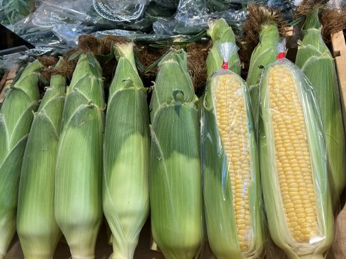 ８月猛暑お見舞い申し上げます。