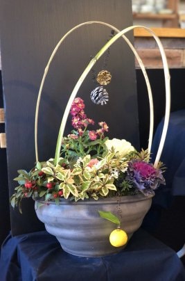 お正月の寄せ植え🎍