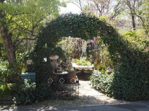 4月のお庭の様子