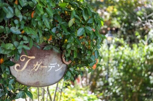 YouTube動画アップしました♪