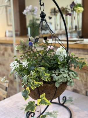 3月の寄せ植え教室が開催されました🌸