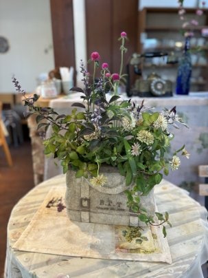 9月の寄せ植え教室が開催されました🪴