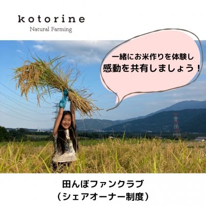 kotorine田んぼファンクラブ募集