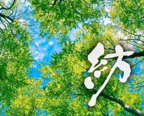 富士の麓で時を紡ぐ