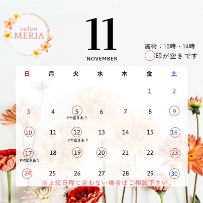 2024年11月サロンスケジュール