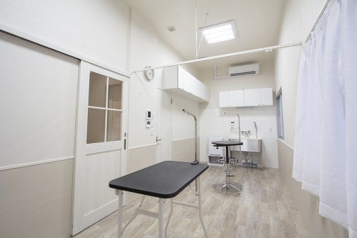 福岡市南区野間にAZDOGS様がオープンいたしました。