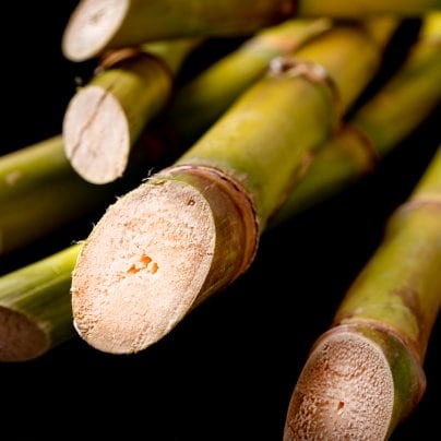 出来立て商品続々追加中♪