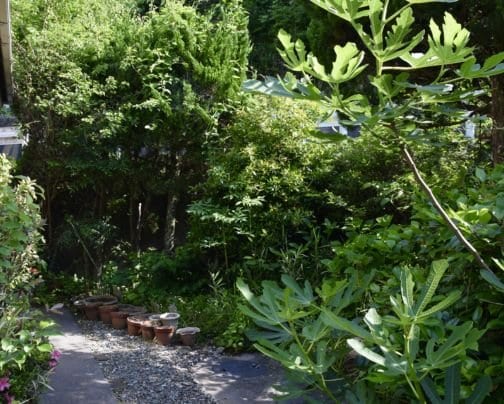 お庭作業【季節限定クーポン】10%〜最大20％割引