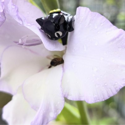 糖分を取るなら蜂蜜で🤤