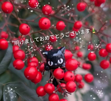 新年明けましておめでとうございます🎍✨