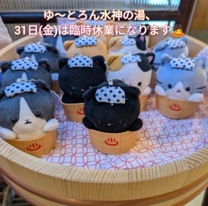 緊急臨時休業をいただきます🙇‍♂️